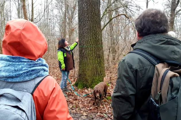 Menschen im Wald 