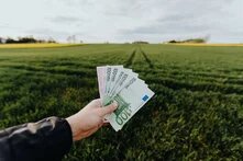 Eine Person hält viele Geldscheine in der Hand. Im Hintergrund ist ein grünes Feld und bewölkter Himmel.