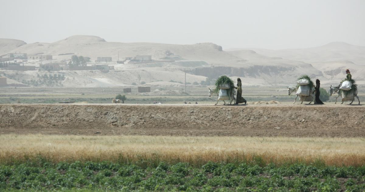 ein bericht uber die situation der landwirtschaft in syrien heinrich boll stiftung thuringen